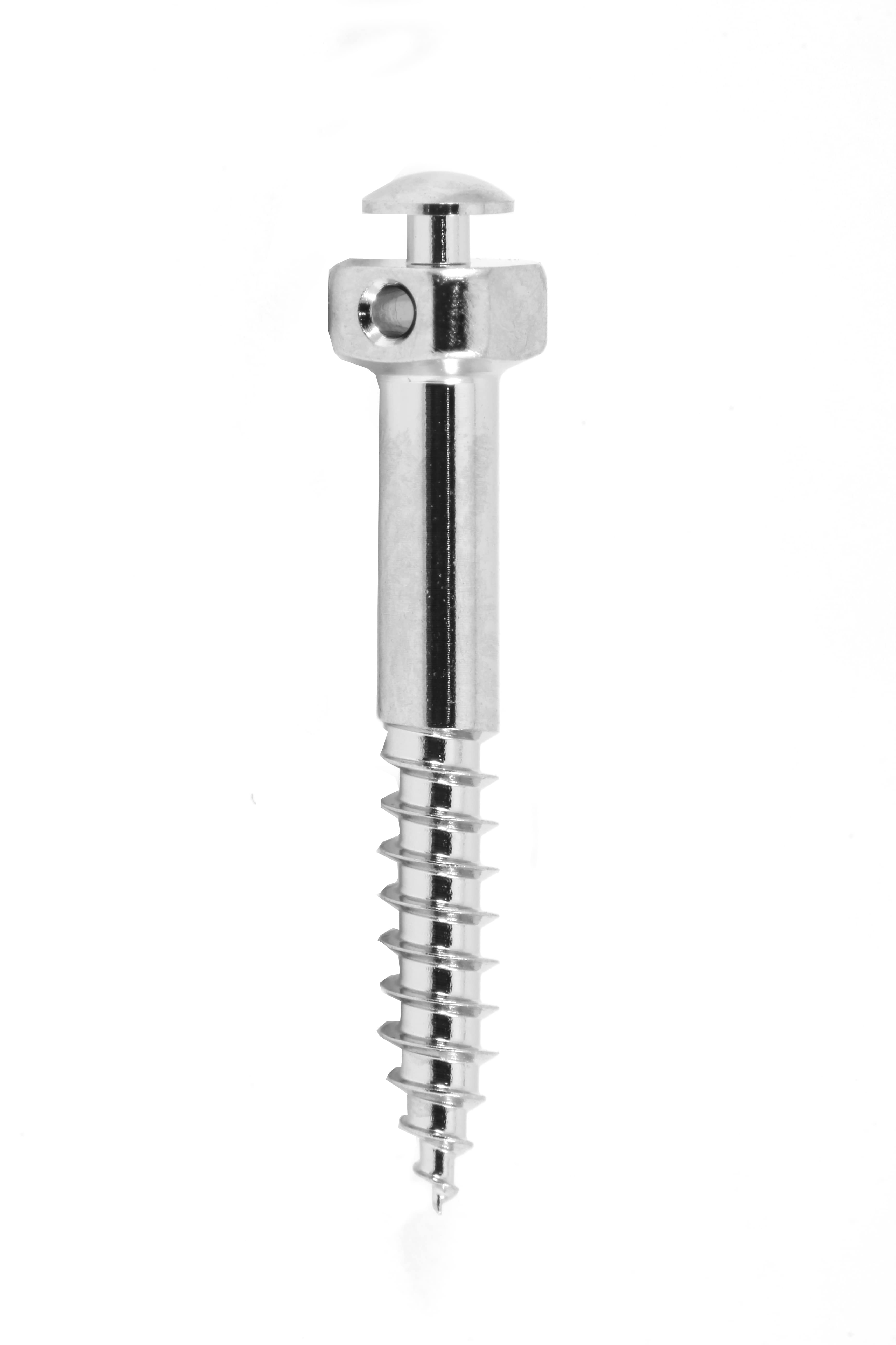 MICRO TORNILLO IZC 2X14 MM (PERFIL TRANSMUCOSO) 1 PIEZA